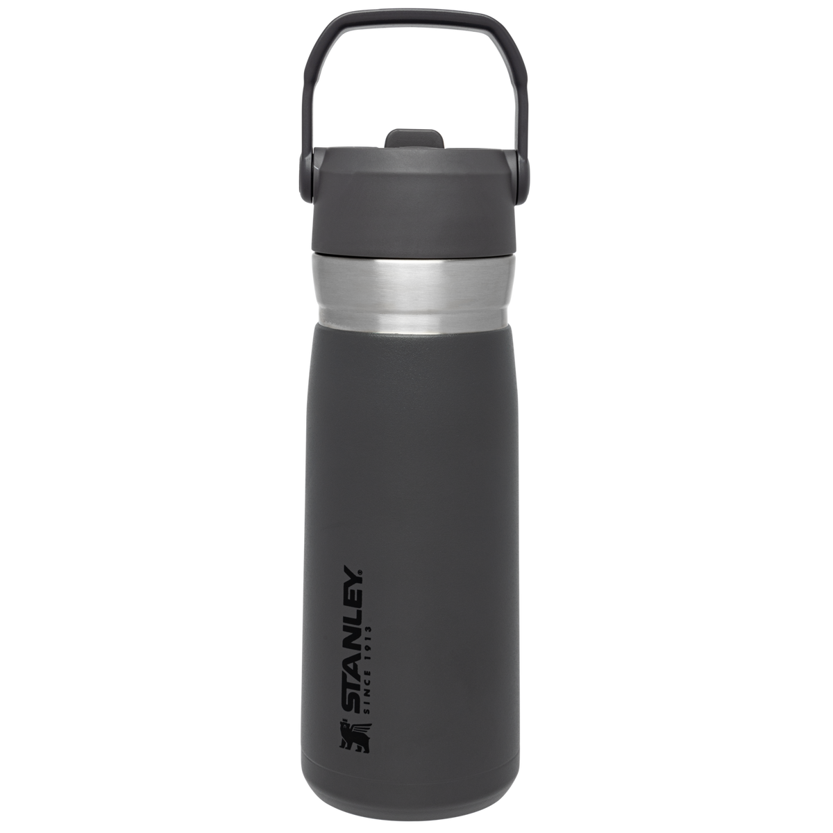 The Go Flip Straw Water Bottle | 22 OZ