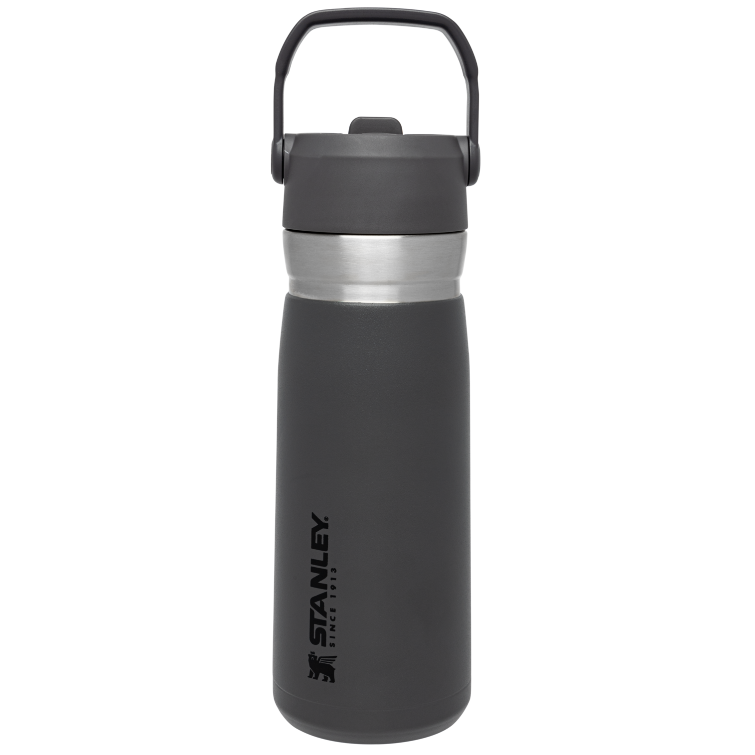 The Go Flip Straw Water Bottle | 22 OZ