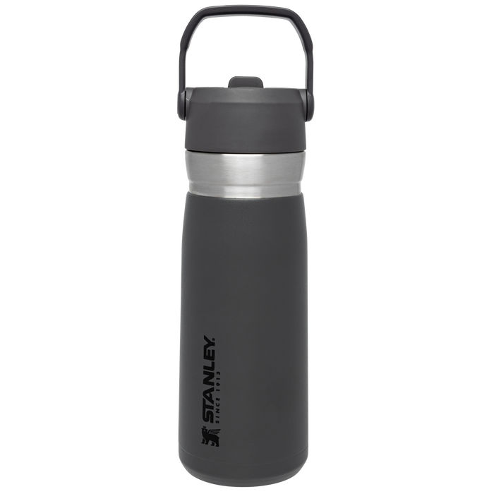 The Go Flip Straw Water Bottle | 22 OZ