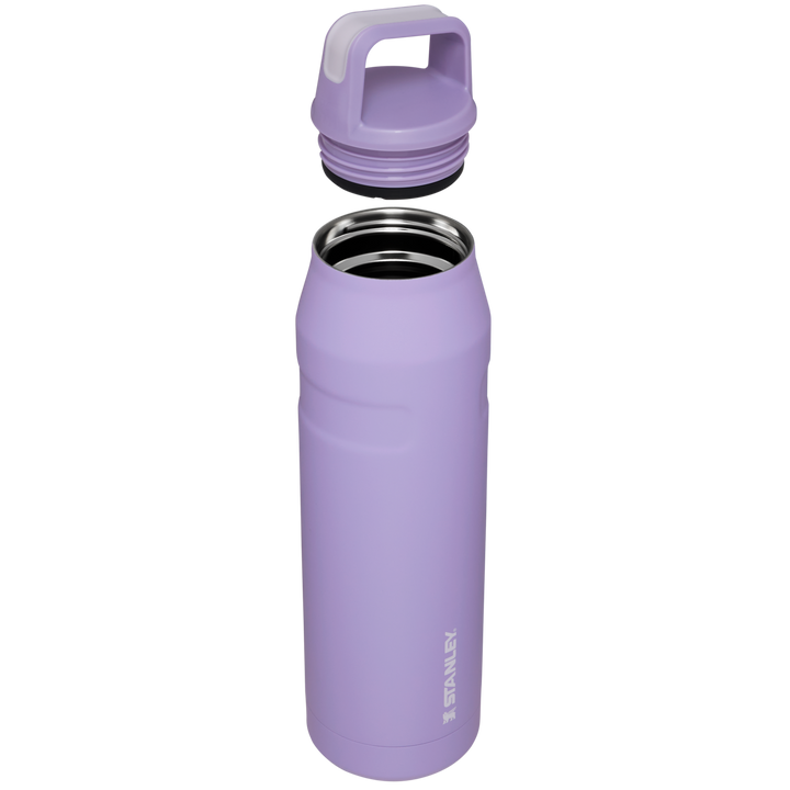 Real Living Purple Stainless Steel Soup Thermos, 13 Oz.