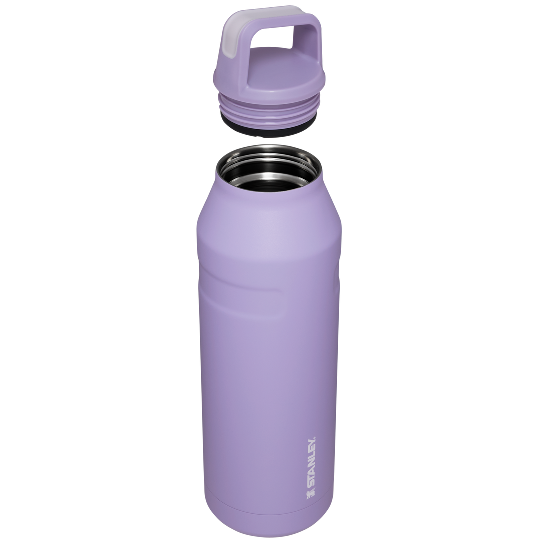 Stanley Purple Stanley Classic Vacuum Insulated Bottle With Lid