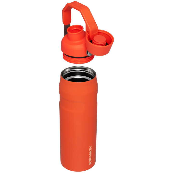 STANLEY 24 oz Orange and Silver Insulated Stainless Steel Water