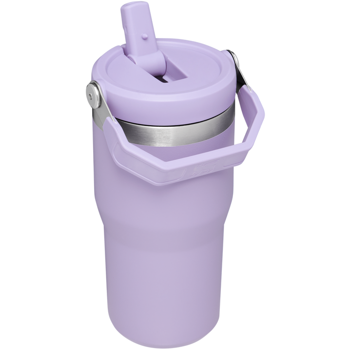 https://www.stanley1913.com/cdn/shop/files/B2B_Web_PNG-The-IceFlow-Flip-Straw-Tumbler-20OZ-Lavender-Cub-Hero-Back_24af8309-cf80-4ab9-8104-b19242934f79.png?v=1704500971&width=720