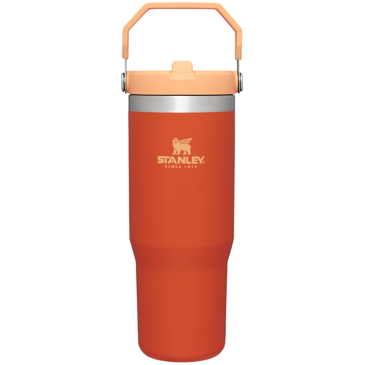 https://www.stanley1913.com/cdn/shop/files/B2B_Web_PNG-The-IceFlow-Flip-Straw-Tumbler-30OZ-Tigerlily-Front_7862499c-6cb8-4180-b7d1-19ea36e8ba98.png?v=1704657635&width=720