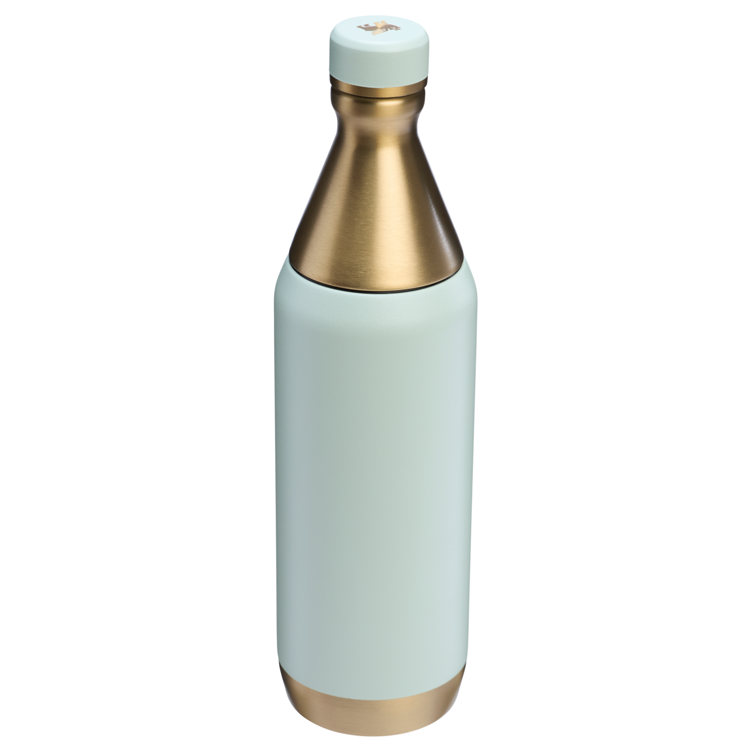 Stanley All Day Slim Bottle 20 OZ In Gilded Celadon