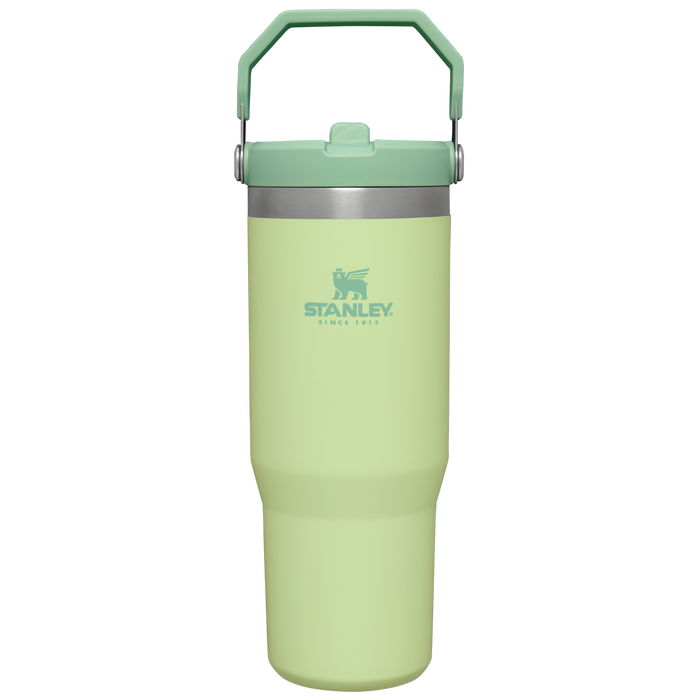 Stanley 30 oz IceFlow Flip Straw Water Bottle In Citron Green