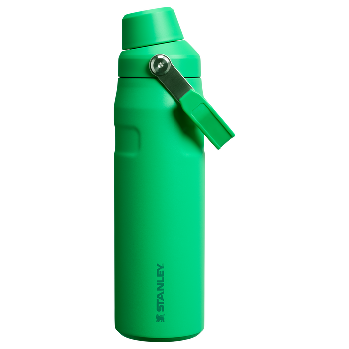 Stanley IceFlow Water Bottle with Fast Flow Lid 24 OZ In Meadow Green